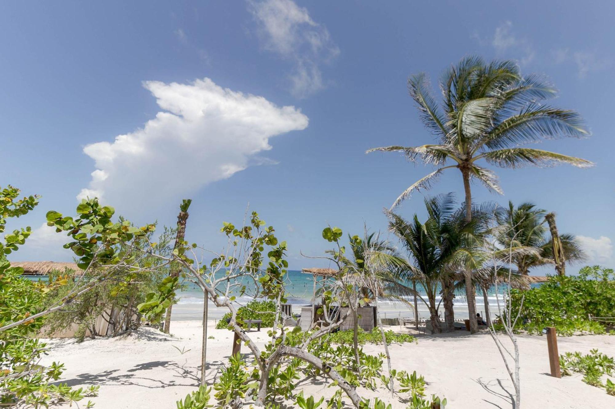 Hotel Panamera Tulum Eksteriør bilde